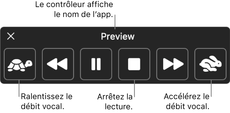 Le contrôleur à l’écran qui peut être affiché lorsque votre Mac énonce du texte sélectionné. Le contrôleur fournit six boutons qui, de gauche à droit, vous permettent de diminuer le débit vocal, revenir sur une phrase, démarrer ou mettre en pause la lecture, arrêter la lecture, avancer d’une phrase et augmenter le débit vocal. Le nom de l’app est affiché en haut du contrôleur.