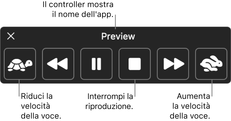 Il controller sullo schermo che può essere mostrato quando il Mac legge ad alta voce il testo selezionato. Il controller è dotato di sei pulsanti che, da sinistra a destra, ti consentono di diminuire la riproduzione vocale, tornare indietro di una frase, riprodurre o mettere in pausa il parlato, interrompere il parlato, andare avanti di una frase e aumentare la riproduzione vocale. Il nome dell'app viene mostrato in alto sul controller.