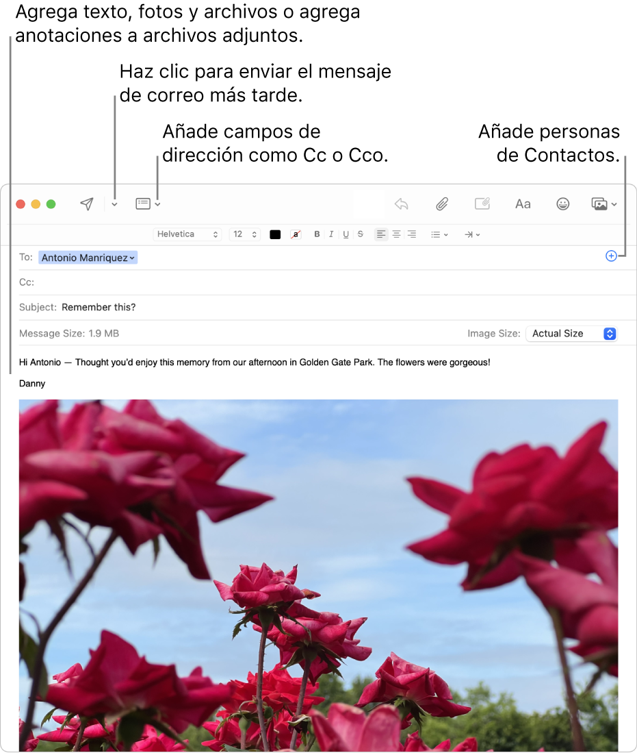 Una ventana de nuevo mensaje. En la parte superior izquierda están el botón Enviar y el botón Cabecera. Arriba, a la derecha, está el botón Añadir, que se puede usar para añadir personas desde Contactos. En el cuerpo del mensaje hay una imagen marcada.