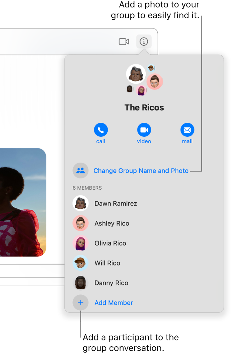 Details view, which appears after you click the Details button in a group conversation. Add Member appears below the name of the last participant in the list. You can change the group name and photo just above the names of the participants.