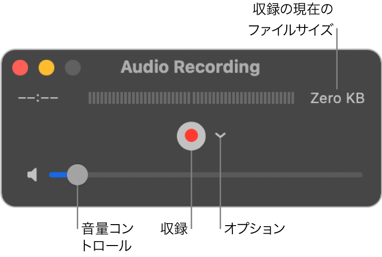 「オーディオ収録」ウインドウ。ウインドウ中央に収録ボタンおよび「オプション」ポップアップメニューがあり、下部に音量コントロールがあります。