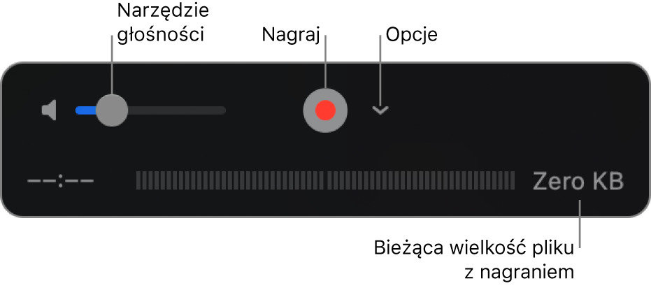 Narzędzia nagrywania, w tym narzędzia głośności, przycisk nagrywania oraz menu podręczne opcji.