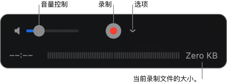 包含音量控制、“录制”按钮和“选项”弹出式菜单的录制控制。