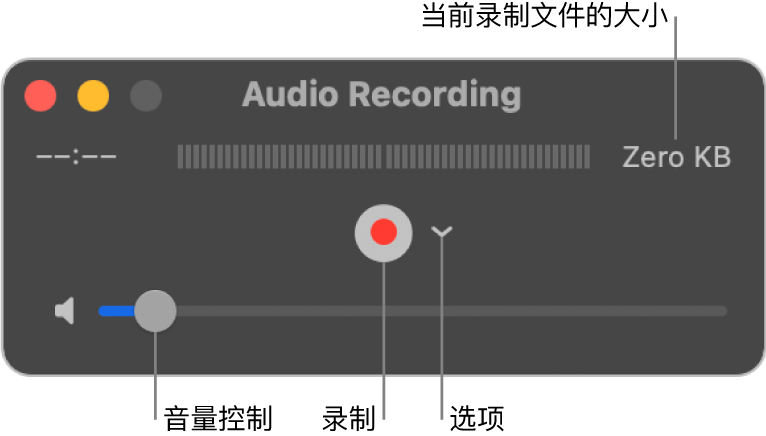“音频录制”窗口，窗口中间是“录制”按钮和“选项”弹出式菜单，底部是音量控制。