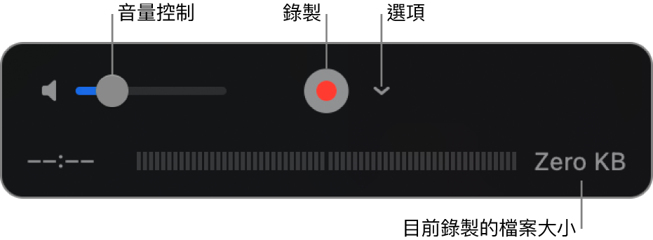 錄製控制項目，包含音量控制、「錄製」按鈕和「選項」彈出式選單。