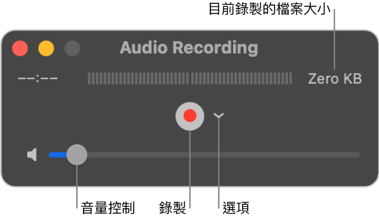「音訊錄製」視窗，視窗中央帶有「錄製」按鈕和「選項」彈出式選單，底部則有音量控制項目。