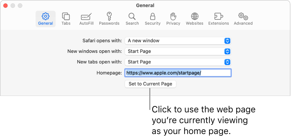 Change your homepage in Safari on Mac – Apple Support (AU)