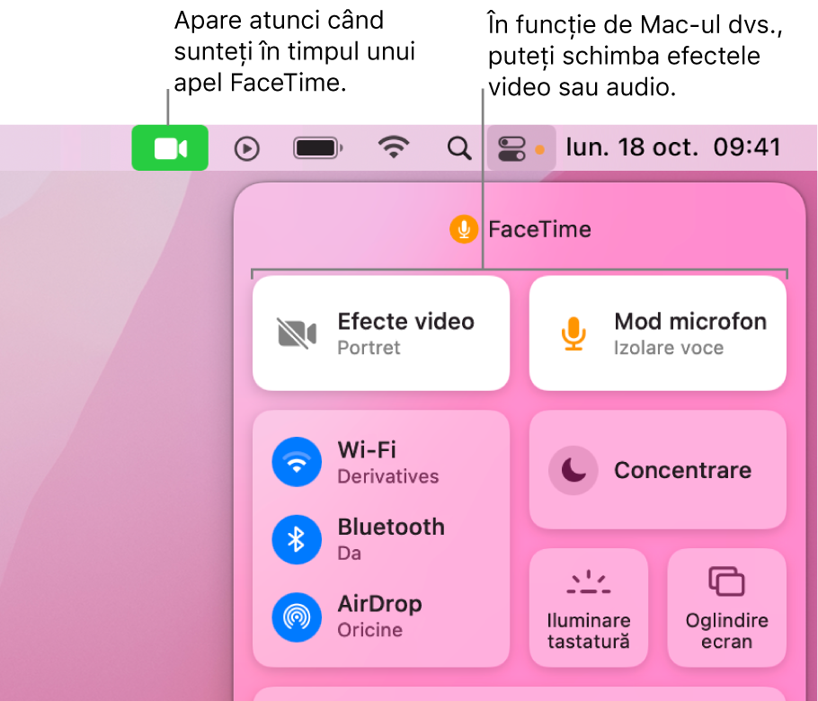 Centrul de control din colțul din dreapta sus al ecranului Mac‑ului afișând pictograma FaceTime (care apare în timpul unui apel FaceTime) și efectele video și modul microfon (care schimbă video sau efectele, în funcție de Mac‑ul dvs.).