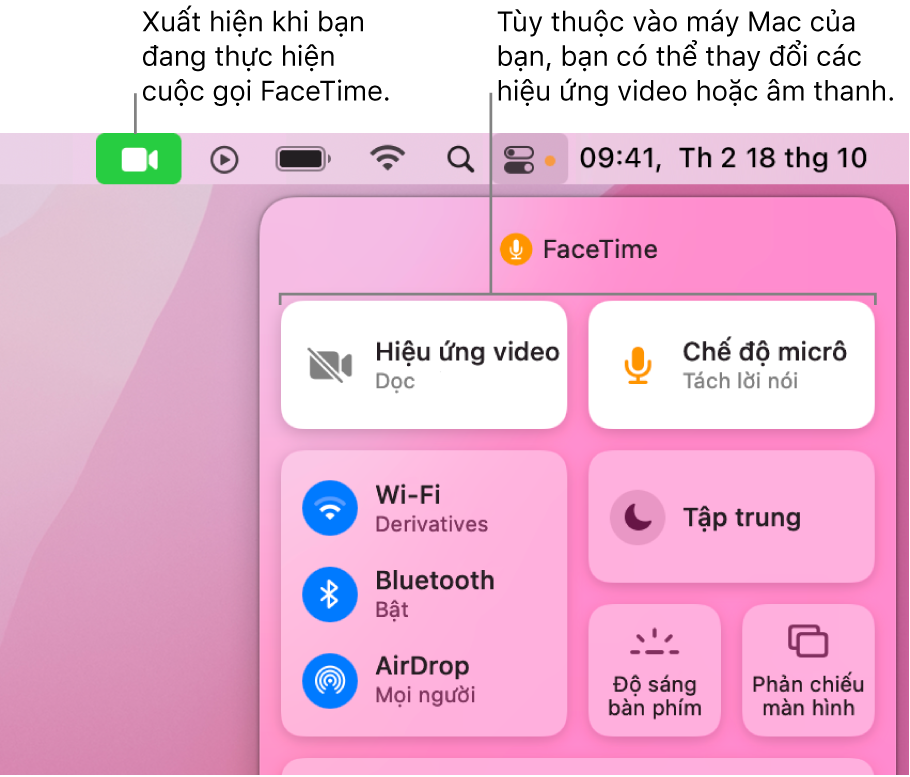 Trung tâm điều khiển ở góc trên cùng bên phải của màn hình máy Mac, đang hiển thị biểu tượng FaceTime (xuất hiện khi bạn đang tham gia cuộc gọi FaceTime) và Hiệu ứng video và Chế độ micrô (thay đổi video hoặc hiệu ứng, tùy thuộc vào máy Mac).