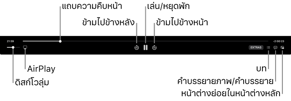 ตัวควบคุมการเล่น