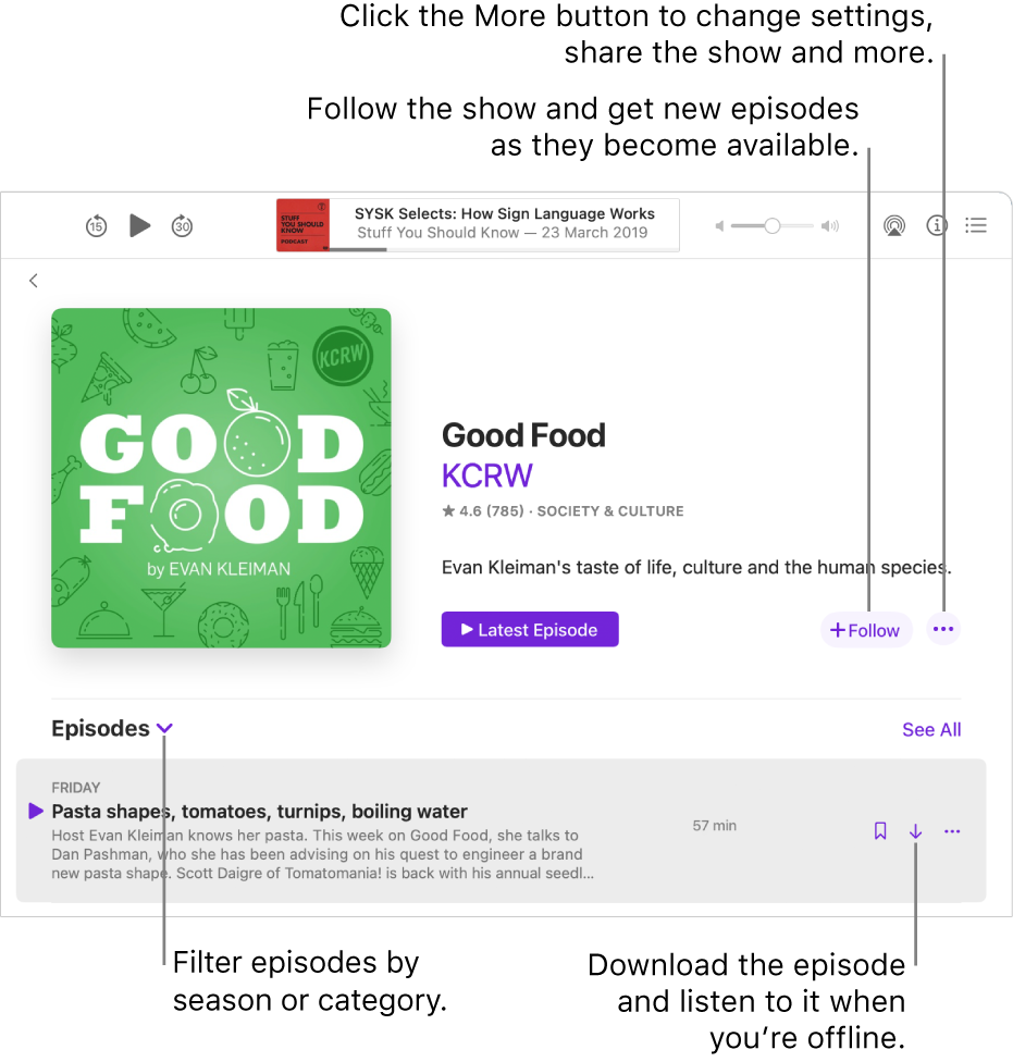 An information page for a podcast. Click Follow to get new episodes as they become available. Click the More button to change settings, share the show and more. Filter episodes by season or category. Download the episode if you want to listen to it when you’re not connected to the internet.