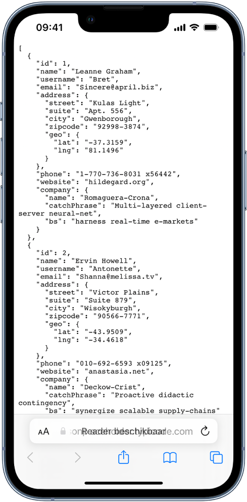 Een voorbeeld van JSON-gegevens.