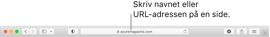 Det smarte søgefelt i Safari, hvor du kan skrive en sides navn eller URL-adresse.