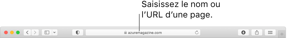 Le champ de recherche intelligente de Safari, dans lequel vous pouvez saisir le nom ou l’URL d’une page.