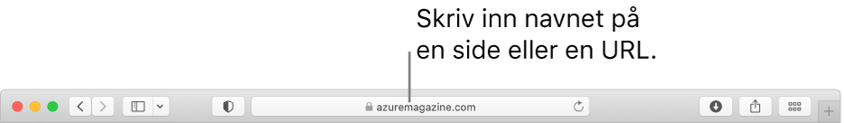 Det smarte søkefeltet i Safari, der du kan skrive inn en sides navn eller URL.