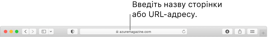 Розумне поле пошуку браузера Safari, у якому вводиться назва або URL-адреса сторінки.