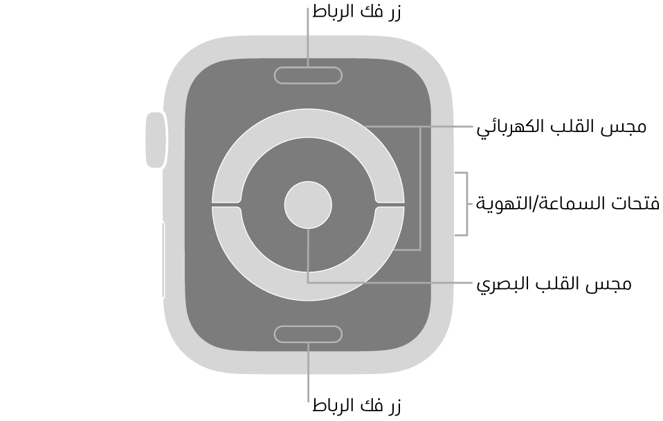 الجزء الخلفي من Apple Watch Series 4 و Apple Watch Series 5 ويظهر به زرا تحرير الرباط في الأعلى والأسفل ومجس القلب الكهربائي ومجس القلب الكهربائي في المنتصف وفتحات السماعة/التهوية على جانب السماعة.