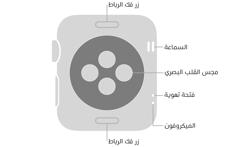 الجزء الخلفي من Apple Watch Series 3 ويظهر به زرا تحرير الرباط في الأعلى والأسفل ومجس القلب الكهربائي في المنتصف وفتحات السماعة والتهوية والمكيروفون من أعلى إلى أسفل بالقرب من الجانب.