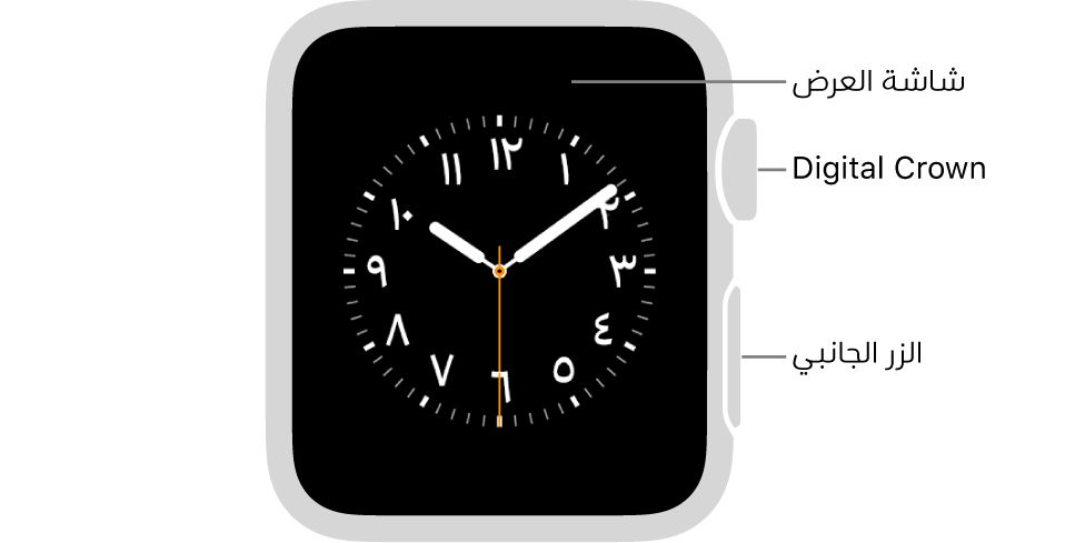 الجزء الأمامي من Apple Watch Series 3 وتظهر به شاشة العرض التي تعرض واجهة الساعة و Digital Crown والزر الجانبي على جانب الساعة.
