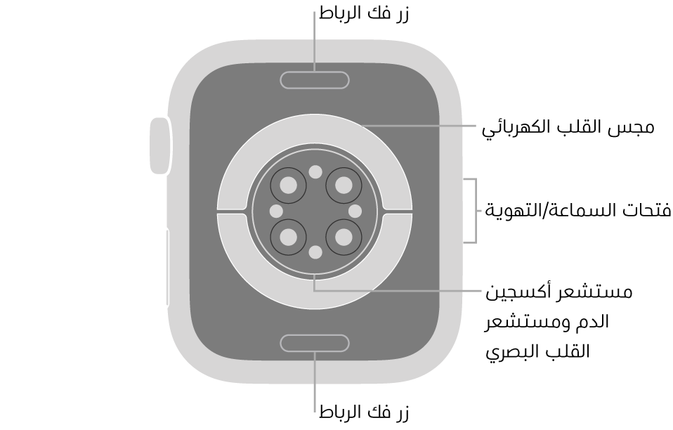 الجزء الخلفي من Apple Watch Series 6 ويظهر به زرا تحرير الرباط في الأعلى والأسفل ومجس القلب الكهربائي ومستشعر القلب البصري ومستشعر أكسجين الدم وفتحات السماعة/التهوية على الجانب.