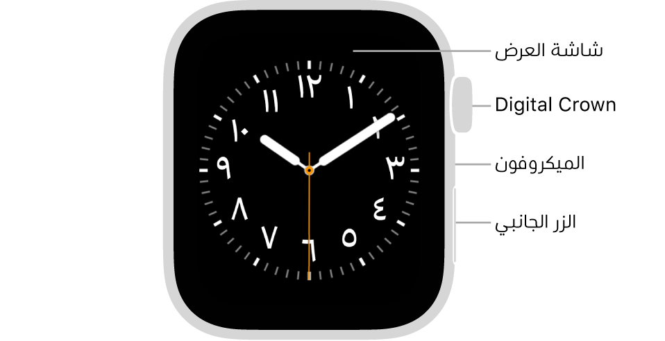 الجزء الأمامي من Apple Watch SE وتظهر به شاشة العرض التي تعرض واجهة الساعة و Digital Crown والميكروفون والزر الجانبي من أعلى إلى أسفل على جانب الساعة.
