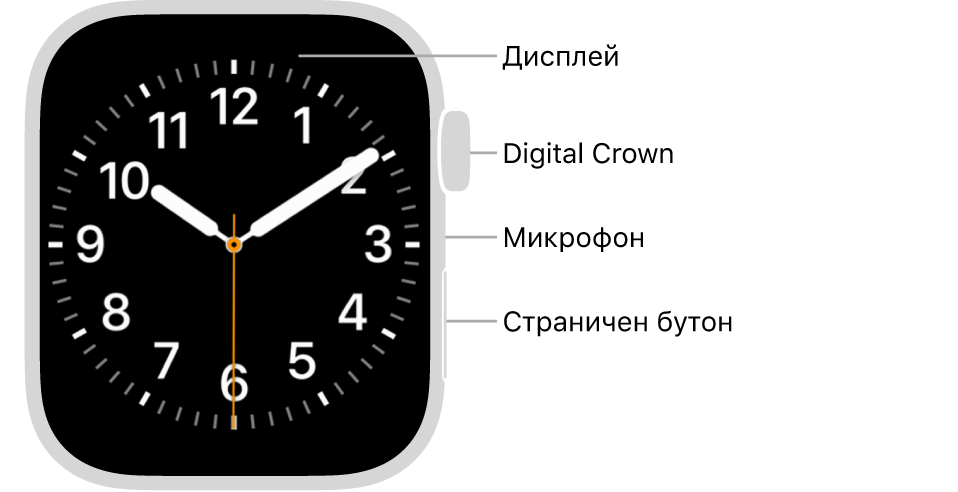 Предната страна на Apple Watch Series 7 с екран, показващ циферблат, и, от горе надолу, встрани от часовника коронката Digital Crown, микрофон и страничен бутон.