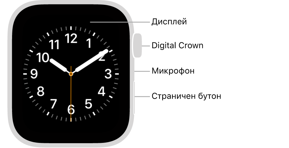 Предната страна на Apple Watch Series 6 с екран, показващ циферблат, и, от горе надолу, встрани от часовника коронката Digital Crown, микрофон и страничен бутон.