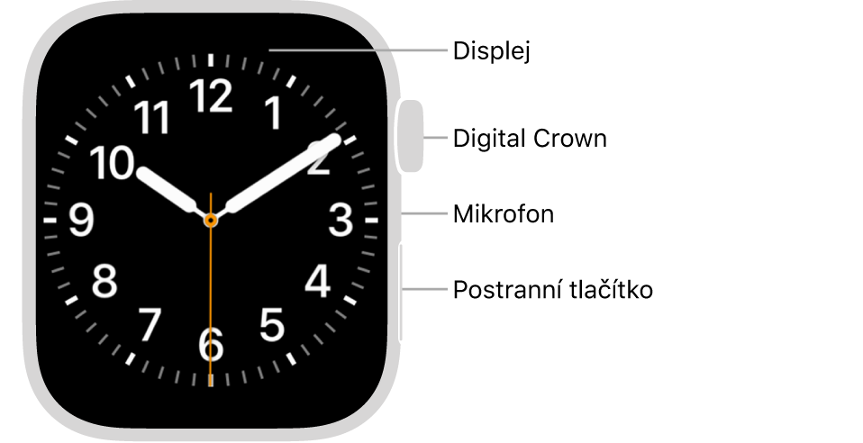 Přední strana hodinek Apple Watch Series 7: na displeji je zobrazen ciferník a na boku se shora dolů nachází korunka Digital Crown, mikrofon a postranní tlačítko.