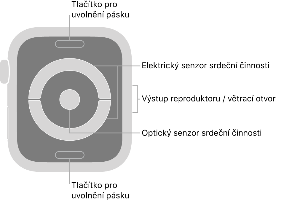 Zadní strana hodinek Apple Watch Series 4 a Apple Watch Series 5: nahoře a dole jsou tlačítka pro uvolnění řemínku, uprostřed elektrická čidla srdeční činnosti a optická čidla srdeční činnosti a na boku je reproduktor a větrací otvor.