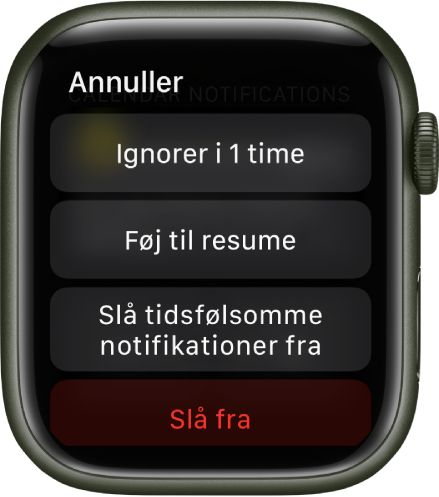 Notifikationsindstillinger på Apple Watch. Den øverste knap viser "Lydløs 1 time”. Nedenfor er der knapper til Føj til oversigt, Slå tidsfølsomme notifikationer fra og Slå fra.