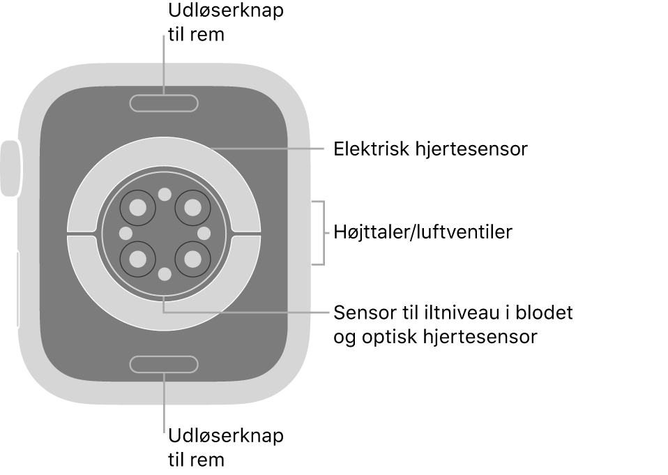Bagsiden af Apple Watch Series 6 med udløserknapperne foroven og forneden, de elektriske pulsmålere, de optiske pulsmålere og sensorerne til iltniveau i blodet i midten og højttaleren/ventilationshullerne på siden.