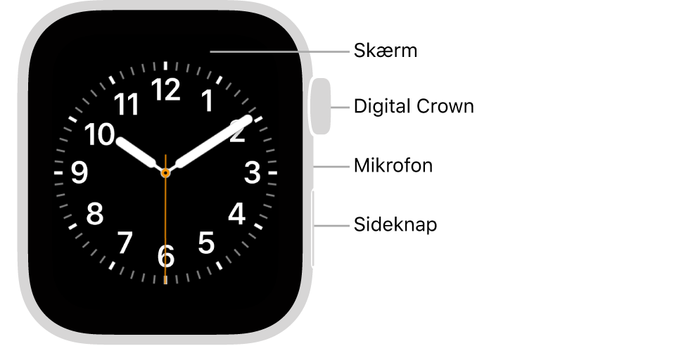 Forsiden af Apple Watch Series 6, hvor skærmen viser urskiven og Digital Crown, mikrofonen og sideknappen fra top til bund på siden af uret.