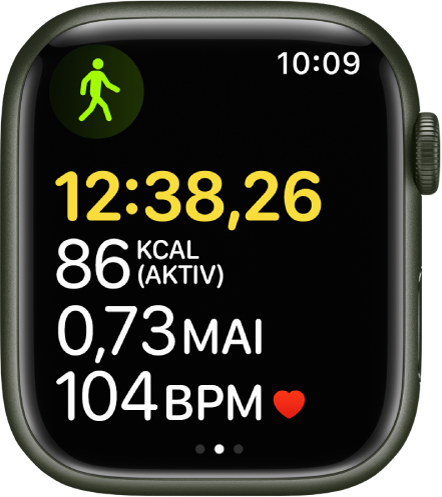 Ein Bildschirm mit Trainingsdaten, einschließlich verstrichener Zeit und Herzfrequenz.