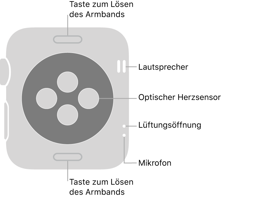 Die Rückseite der Apple Watch Series 3 mit Entriegelungstasten oben und unten, optischem Herzsensor in der Mitte sowie Lautsprecher, Lüfteröffnung und Mikrofon an der Seite.