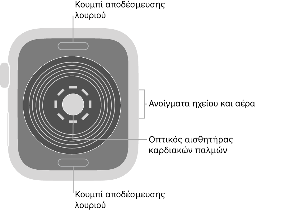 Το πίσω μέρος του Apple Watch SE, με τα κουμπιά αποδέσμευσης του λουριού στο πάνω και κάτω μέρος, τον οπτικό αισθητήρα καρδιάς στο μέσο, και το ηχείο και τα ανοίγματα εξαερισμού στο πλάι.