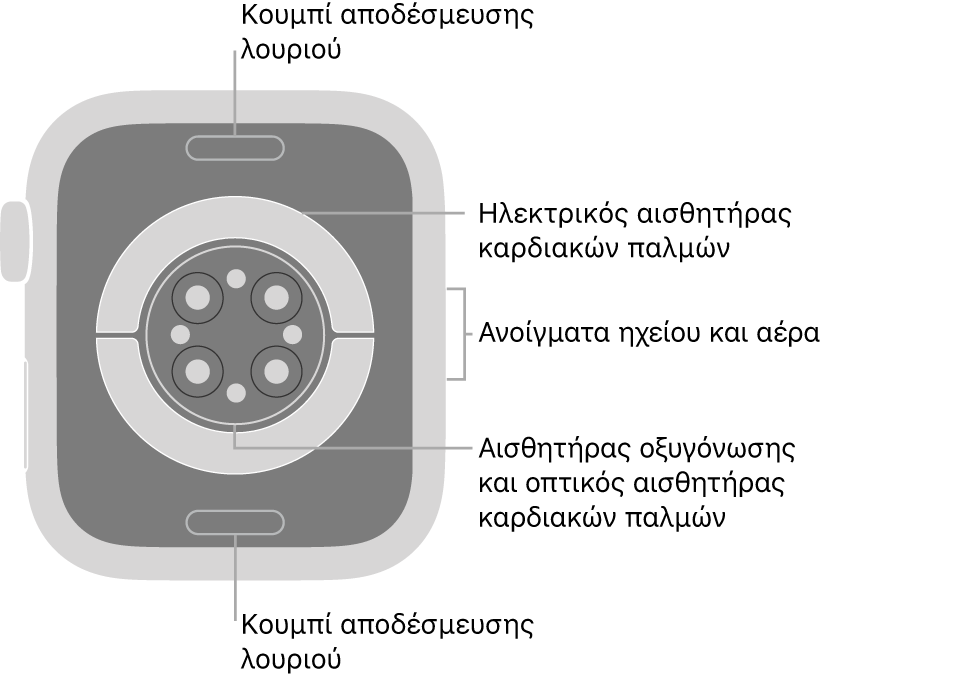 Το πίσω μέρος του Apple Watch Series 6, με τα κουμπιά αποδέσμευσης του λουριού στο πάνω και κάτω μέρος, τους ηλεκτρικούς αισθητήρες καρδιάς, τους οπτικούς αισθητήρες καρδιάς και τους αισθητήρες οξυγόνωσης στο κέντρο, και το ηχείο και τα ανοίγματα εξαερισμού στο πλάι.