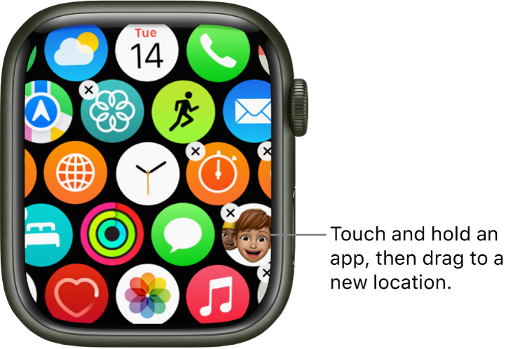 Apple Watch Home Screen in grid view.