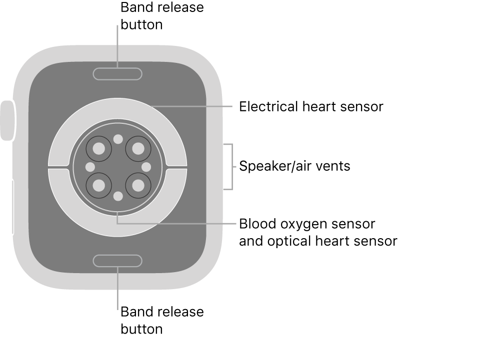 apple watch series 3 speaker