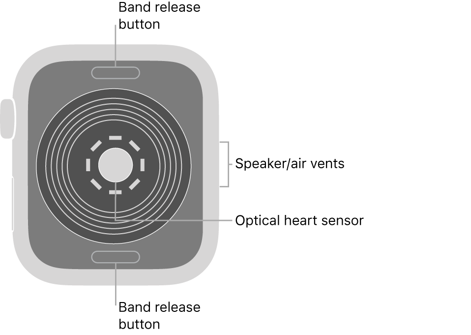 apple watch 6 speaker