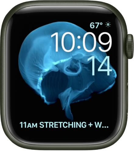The Motion watch face showing a jellyfish. You can choose which object is in motion and add several complications. A Weather Conditions complication is at the top right, the time and date are below, and a Calendar Schedule complication is at the bottom.