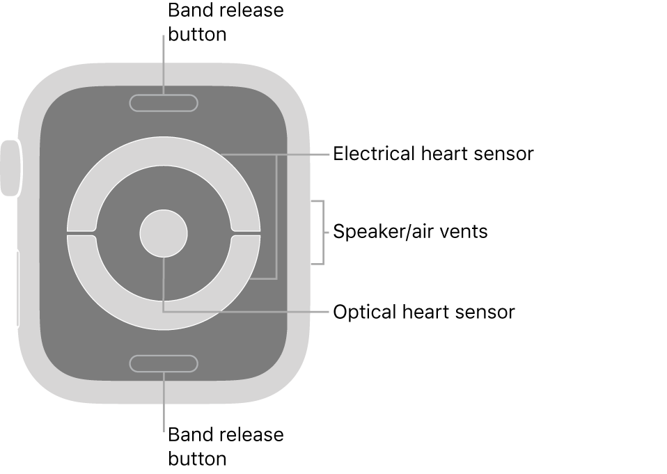 apple air watch series 5