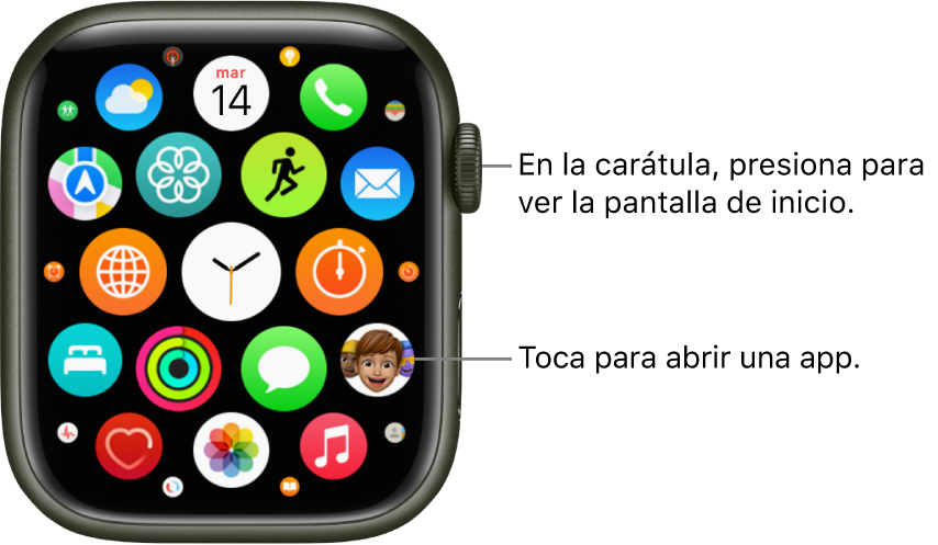 Pantalla de inicio con la visualización como cuadrícula en el Apple Watch, con apps en un grupo. Toca una app para abrirla. Arrastra para ver más apps.