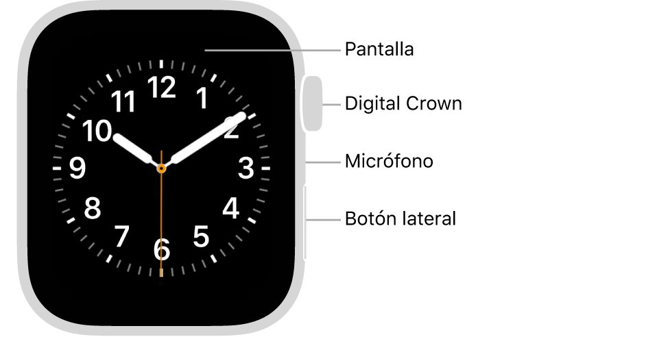 En el frente del Apple Watch Series 6 se muestra la pantalla con la carátula y, en orden descendente en un lado del reloj, se ve la corona Digital Crown, el micrófono y el botón lateral.
