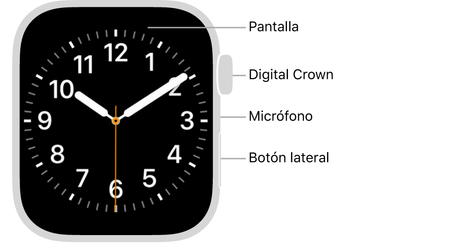 En el frente del Apple Watch Series 7 se muestra la pantalla con la carátula y, en orden descendente en un lado del reloj, se ve la corona Digital Crown, el micrófono y el botón lateral.