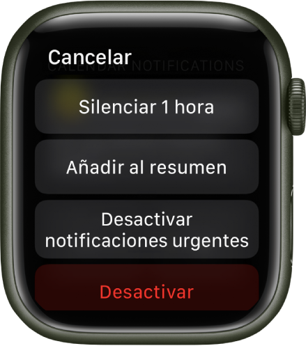 Ajustes de notificación del Apple Watch. El botón superior dice “Durante 1 hora”. Debajo se encuentran los botones “Añadir al resumen”, “Desactivar notificaciones urgentes” y Desactivar.