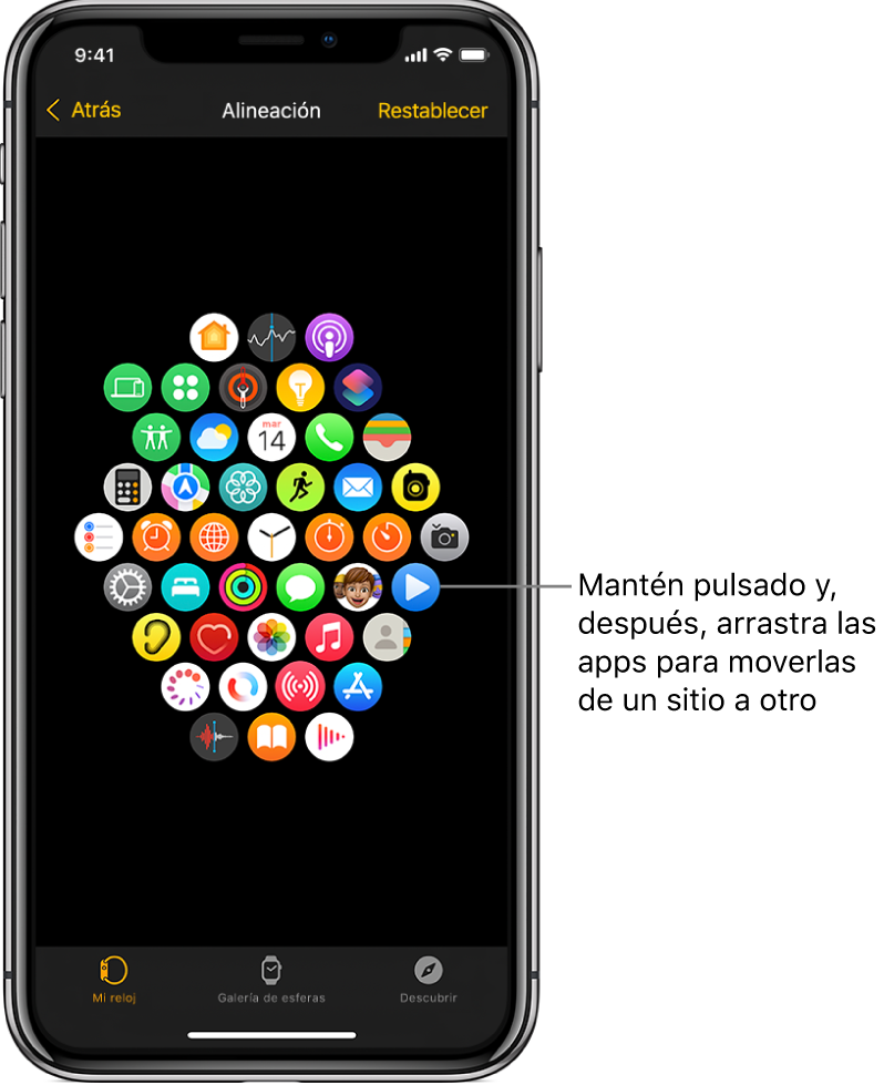 Pantalla Disposición de la app Apple Watch con una cuadrícula de iconos.