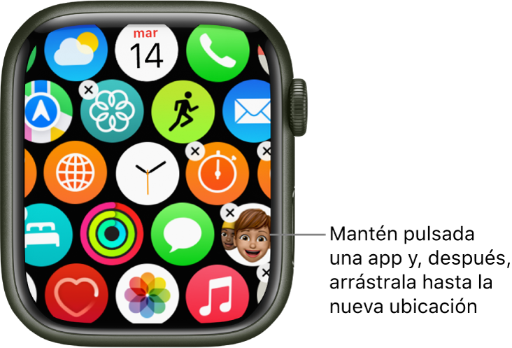 Pantalla de inicio del Apple Watch en visualización de mosaico.