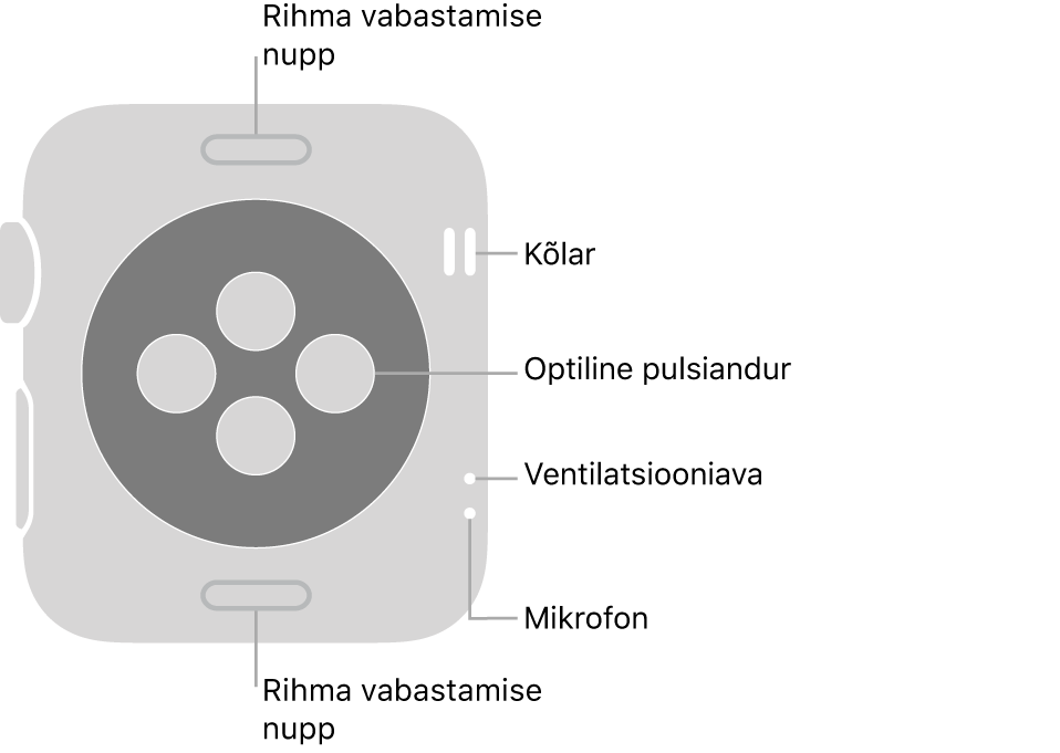 Apple Watch Series 3 tagakülg, kus üleval ja all on rihma vabastusnupud, optilised südamepulsiandurid keskel ning kõlar, ventilatsiooniava ning mikrofon külje lähedal (ülevalt alla).