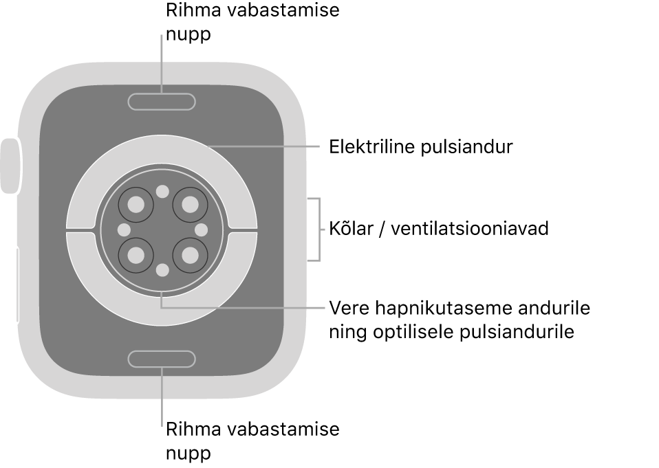 Apple Watch Series 6 tagakülg, kus üleval ja all on rihma vabastusnupud, elektrilised südamepulsiandurid, optilised südamepulsiandurid ja keskel vere hapnikusisalduse andur ning kõlar/ventilatsiooniavad küljel.