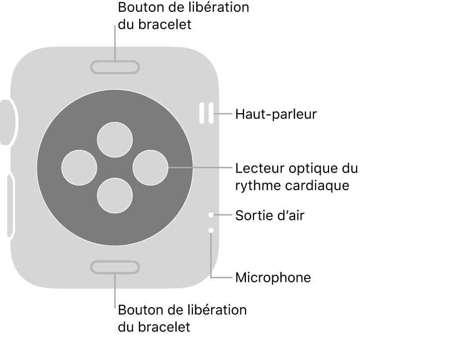 Le dos de l’Apple Watch Series 3, avec les boutons de retrait du bracelet en haut et en bas, les capteurs de rythme cardiaque optiques au centre, puis le haut-parleur, l’évent et le micro de haut en bas sur le côté.
